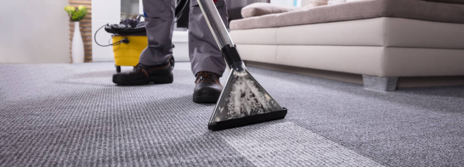 The Allergen-Reducing Power of Professional Carpet Cleaning Services Cover Image