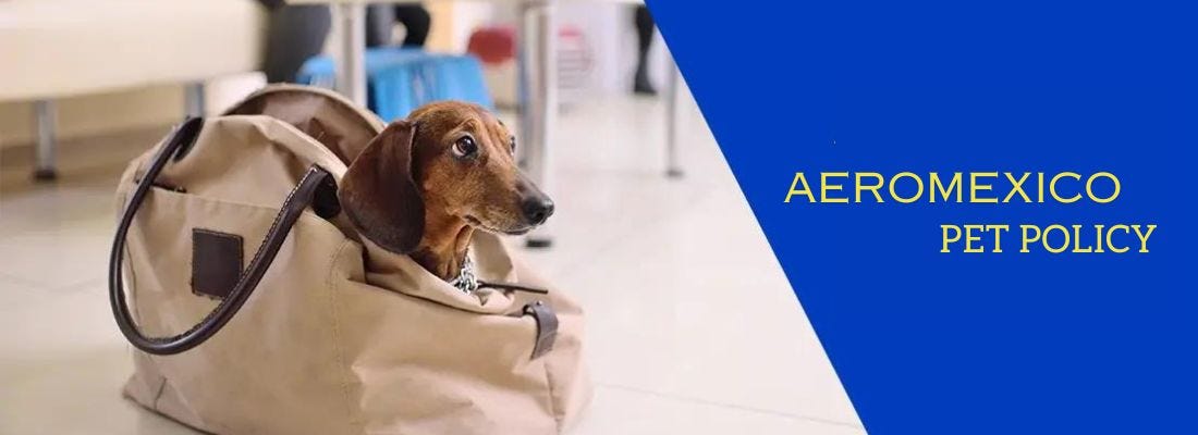 Aeromexico pet policy Explained