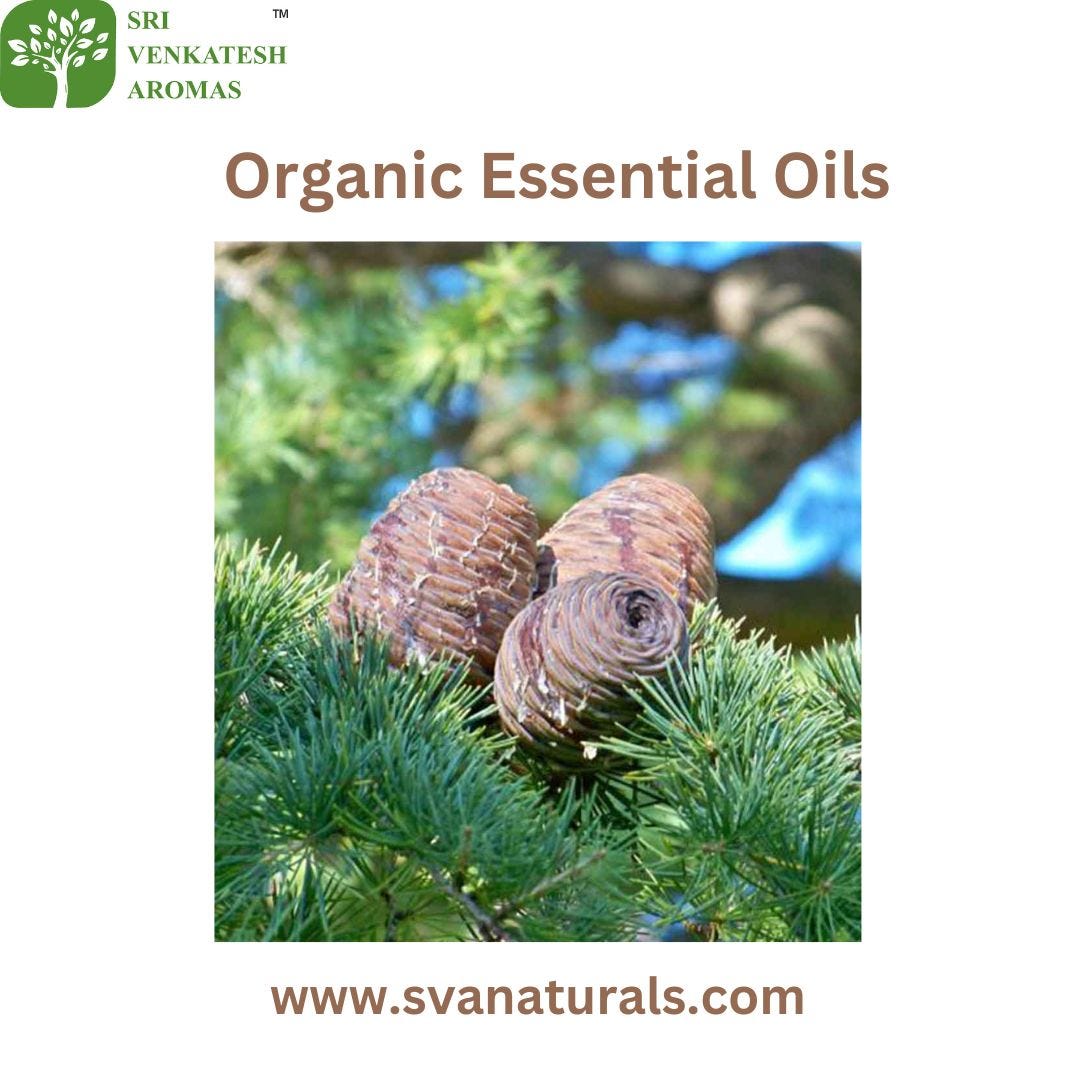 Unveiling Nature’s Essence: Wholesale Organic Essential Oils | by svaorganics | Apr, 2024 | Medium