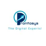 PRONTOSYS IT Services Profile Picture